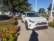 2025 Toyota RAV4 Limited SUV