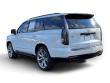 2025 CADILLAC Escalade 4WD Sport Platinum SUV