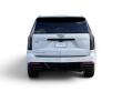 2025 CADILLAC Escalade 4WD Sport Platinum SUV