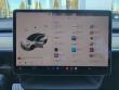 2021 Tesla Model Y Performance SUV