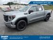 2024 GMC Sierra 1500 Elevation Pickup