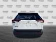 2025 Toyota RAV4 XLE SUV