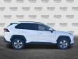 2025 Toyota RAV4 XLE SUV