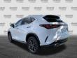 2026 LEXUS NX 350 350 SUV