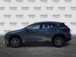 2024 LEXUS NX 250 250 Premium SUV