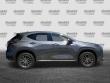 2024 LEXUS NX 250 250 Premium SUV