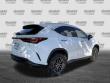 2026 LEXUS NX 350 350 SUV