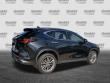 2022 LEXUS NX 350 Premium SUV