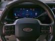 2025 Ford Super Duty F-250 SRW Platinum Crew Cab Pickup