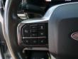 2025 Ford Super Duty F-250 SRW Platinum Crew Cab Pickup