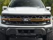 2025 Ford F-150 Tremor Pickup