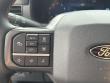 2025 Ford F-150 Tremor Pickup