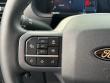 2025 Ford F-150 LARIAT Pickup