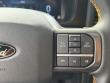 2025 Ford F-150 Tremor Pickup