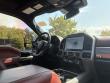 2022 Ford Super Duty F-250 SRW Platinum Pickup