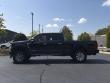 2022 Ford Super Duty F-250 SRW Platinum Pickup
