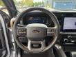 2025 Ford F-150 Tremor Pickup