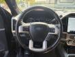 2022 Ford Super Duty F-250 SRW Platinum Pickup