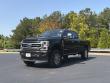 2022 Ford Super Duty F-250 SRW Platinum Pickup