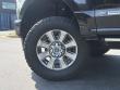 2022 Ford Super Duty F-250 SRW Platinum Pickup