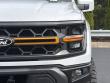 2025 Ford F-150 Tremor Pickup
