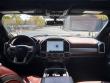 2022 Ford Super Duty F-250 SRW Platinum Pickup