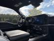 2025 Ford F-150 Tremor Pickup