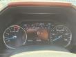 2022 Ford Super Duty F-250 SRW Platinum Pickup