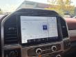 2022 Ford Super Duty F-250 SRW Platinum Pickup