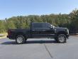2022 Ford Super Duty F-250 SRW Platinum Pickup