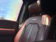 2022 Ford Super Duty F-250 SRW Platinum Pickup