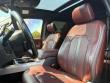 2022 Ford Super Duty F-250 SRW Platinum Pickup