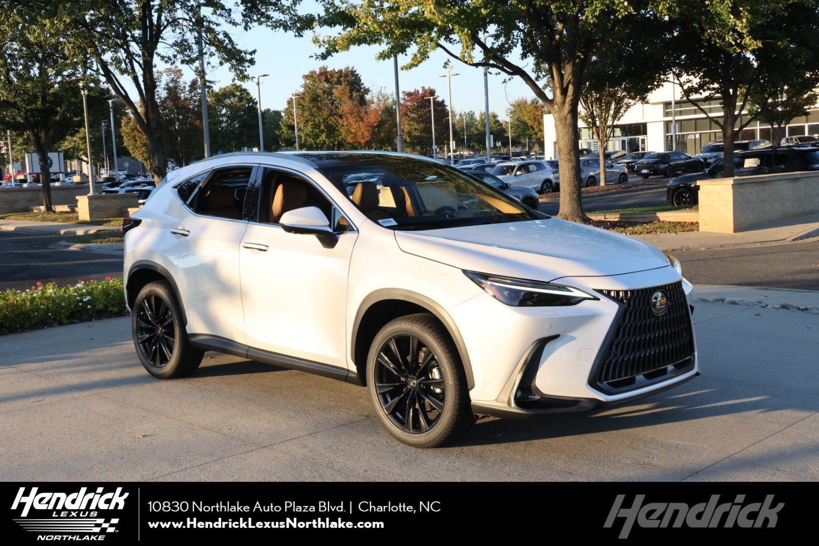  LEXUS NX 350h