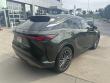 2024 LEXUS RX RX 350 Luxury SUV