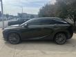 2024 LEXUS RX RX 350 Luxury SUV