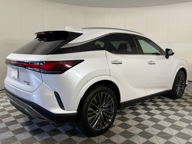 2023 Lexus RX 350 - Photo 9