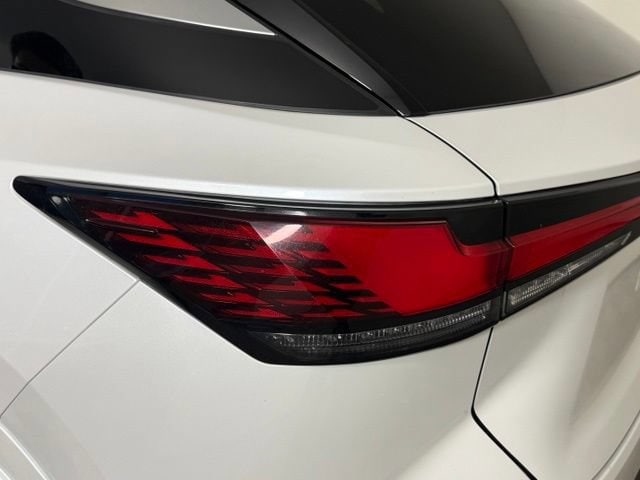 2023 Lexus RX 350 - Photo 14