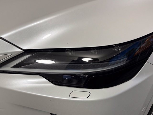 2023 Lexus RX 350 - Photo 13