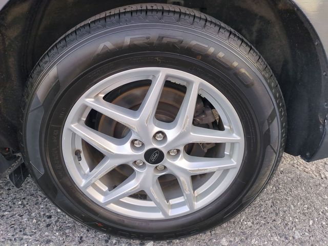 Photo 21