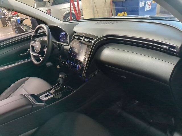 Photo 17