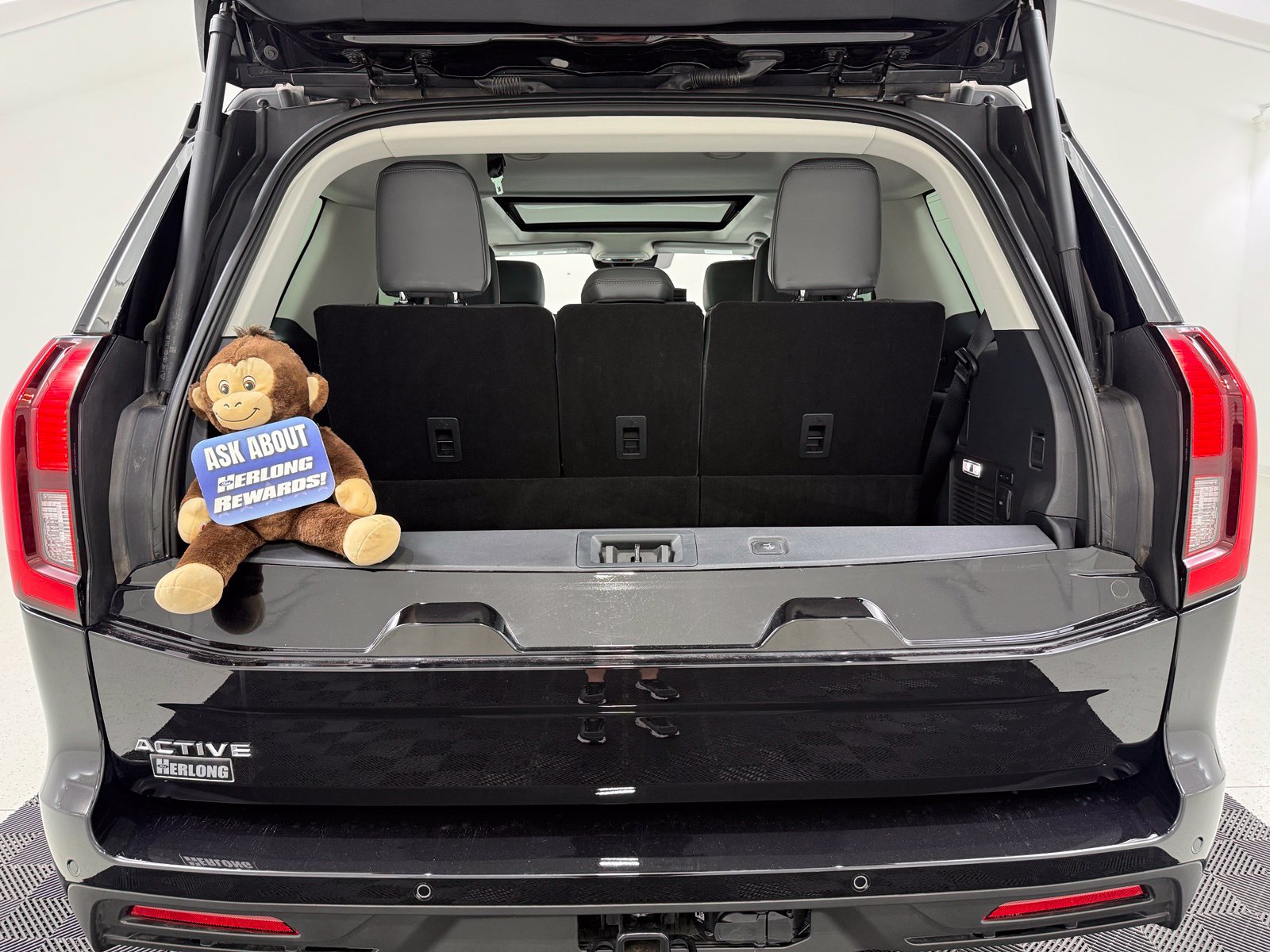2025 Ford Expedition Active - Photo 8