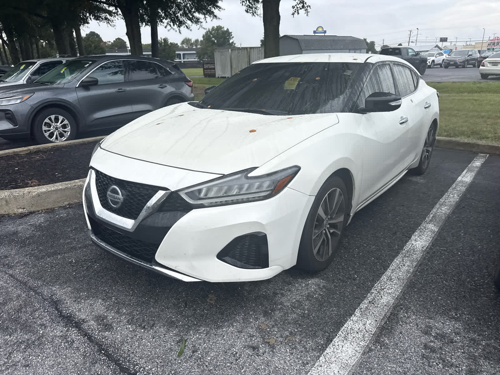  Nissan Maxima