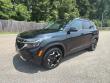 Used 2024 Kia Seltos EX SUV