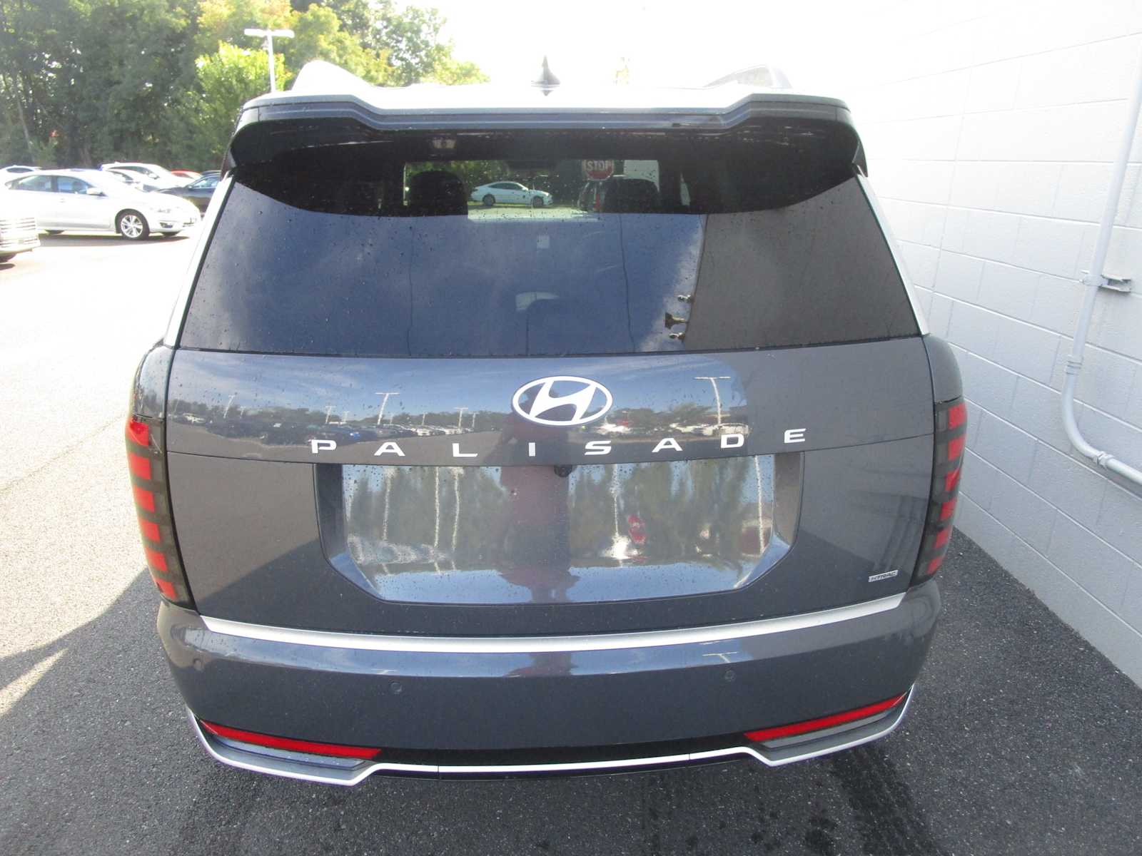 2026 Hyundai Palisade Calligraphy - Photo 5