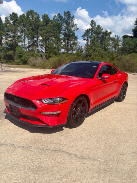 2019 Ford Mustang