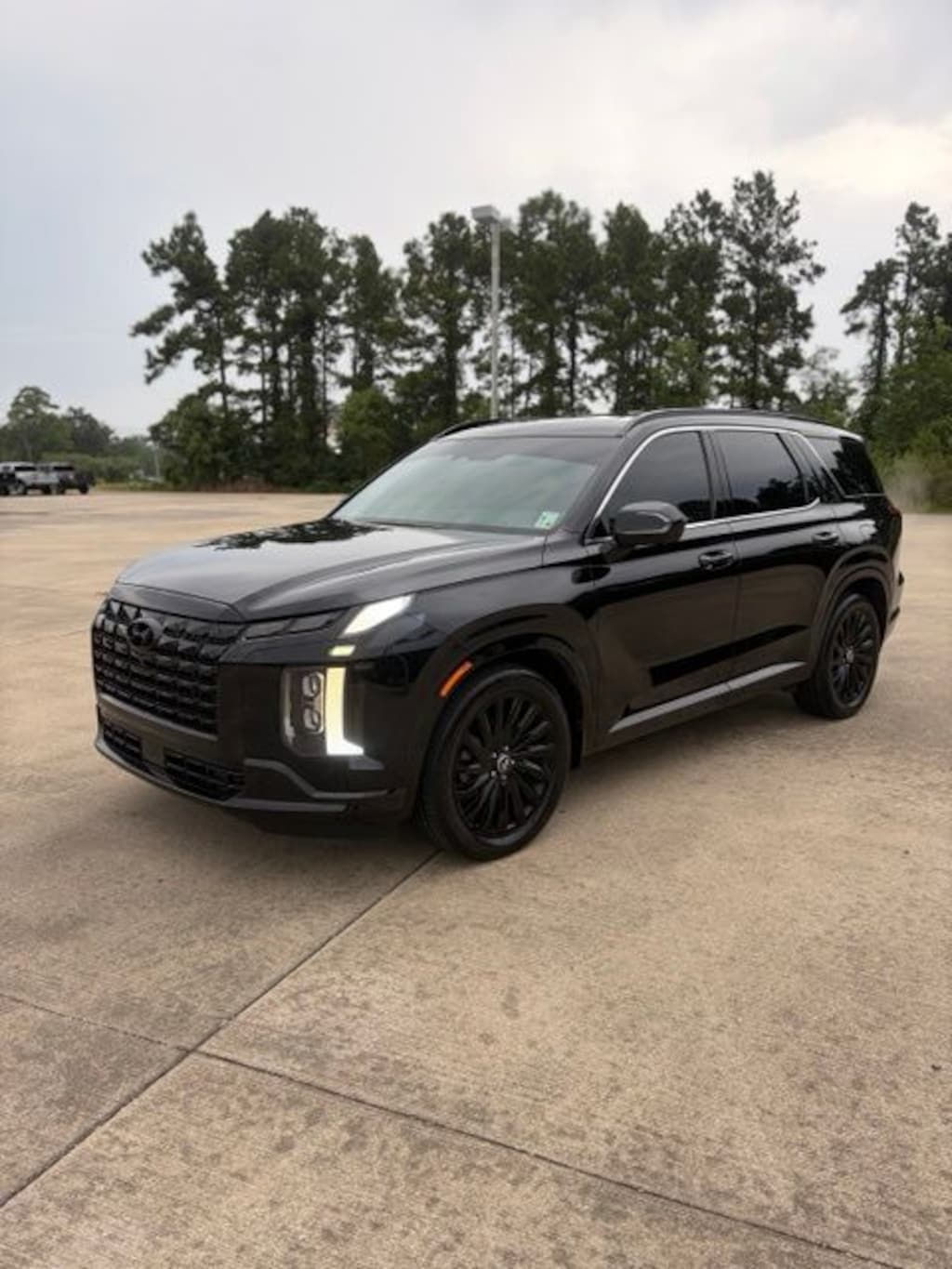 Used 2025 Hyundai Palisade Calligraphy Night Edition SUV