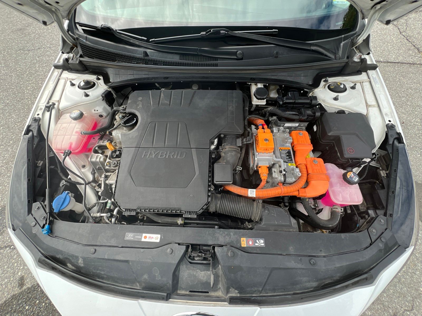 2023 Hyundai Elantra Limited - Photo 11