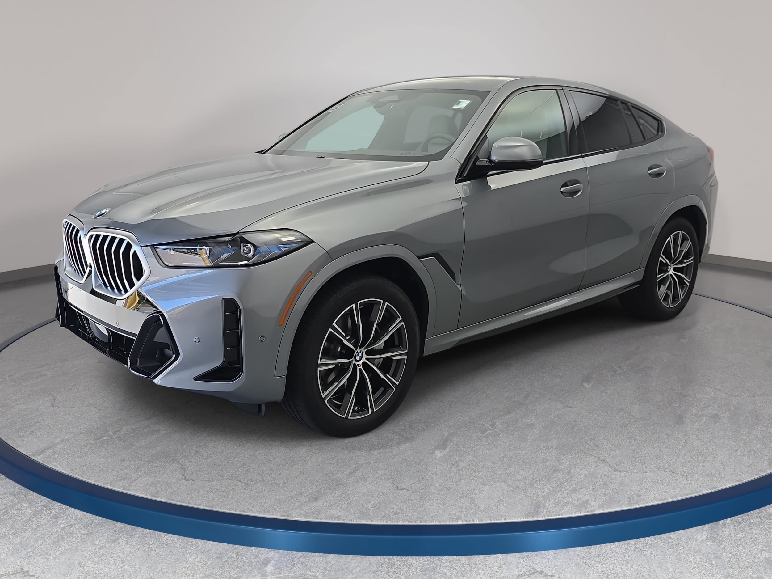 2025 BMW X6