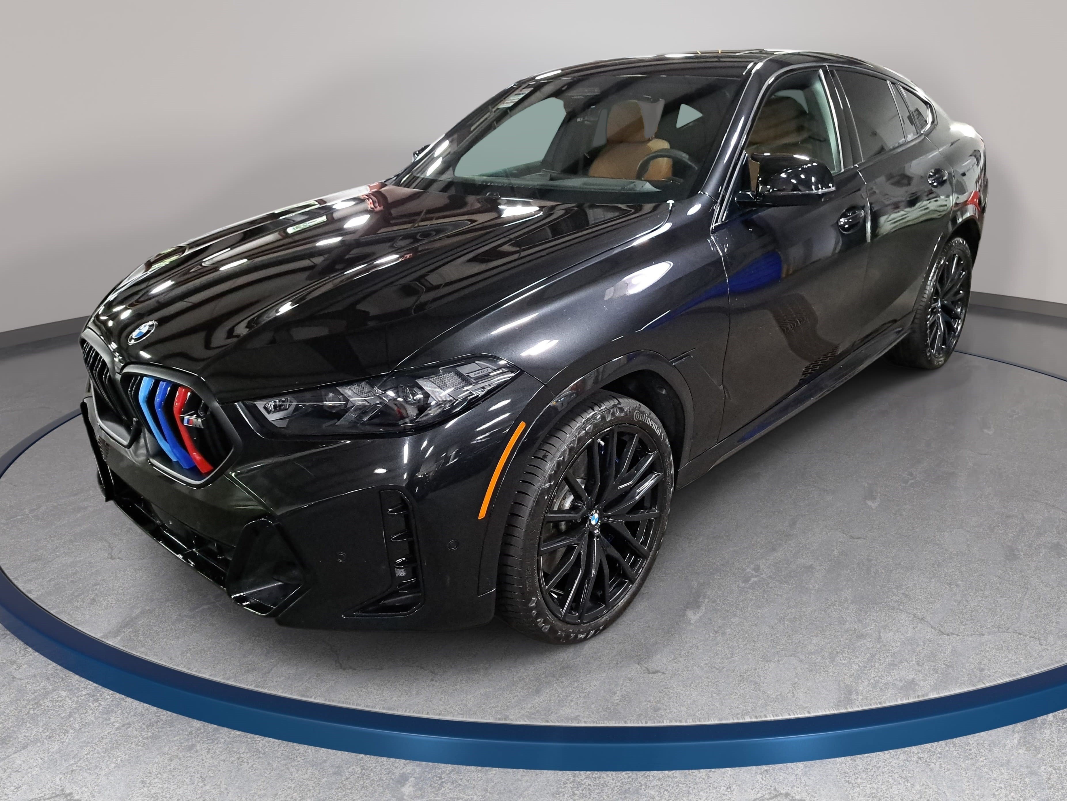 2024 BMW X6
