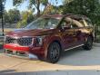 2025 Kia Carnival SX Minivan